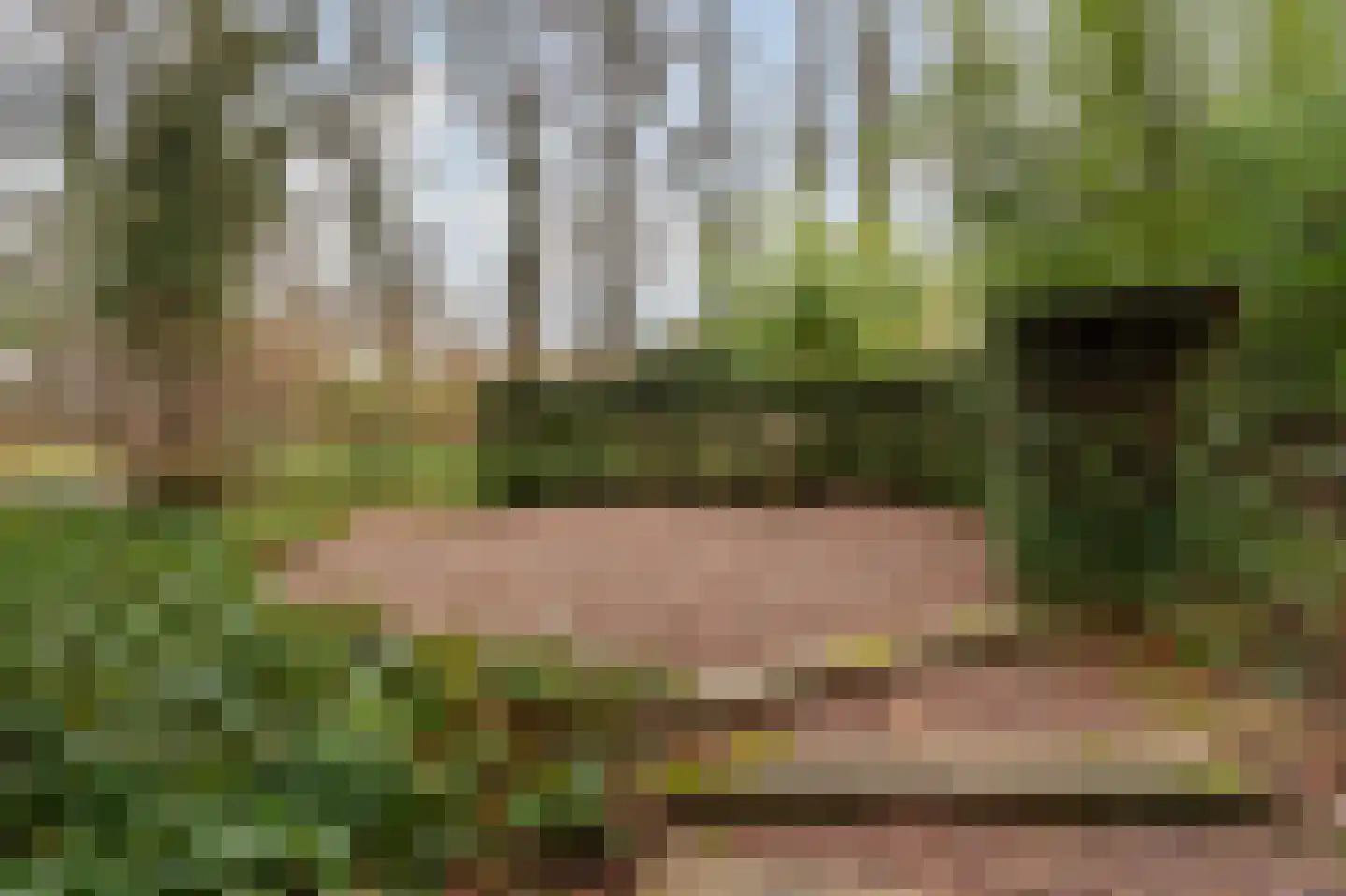 Gravenhof 17 Ede thumbnail 30