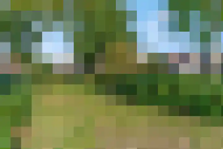 Gravenhof 17 Ede thumbnail 41