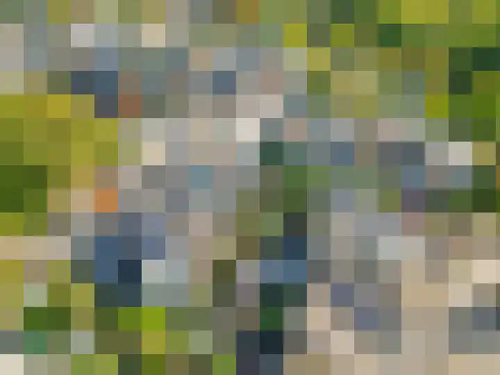 Gravenhof 17 Ede thumbnail 47