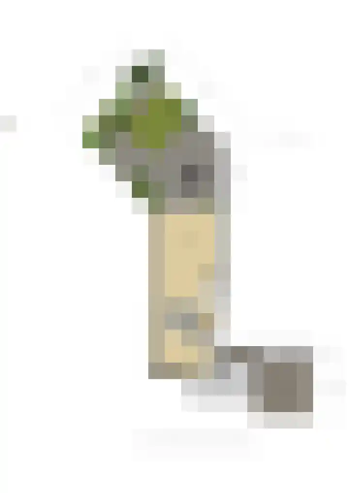 Gravenhof 17 Ede thumbnail 54