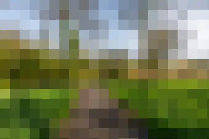 Gravenhof 20 Goes thumbnail 10
