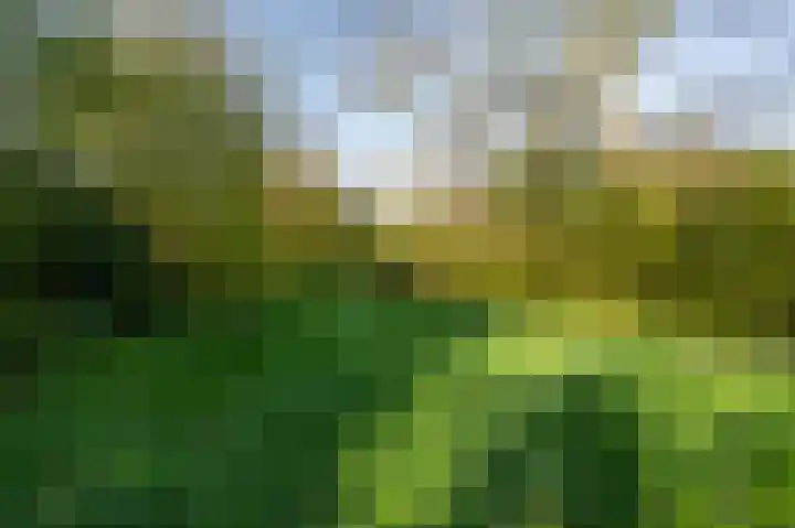 Gravenhof 20 Goes thumbnail 11