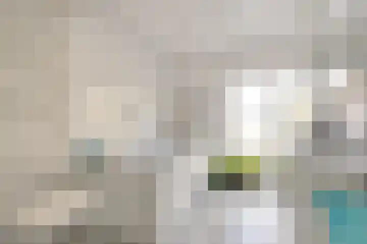 Gravenhof 20 Goes thumbnail 30