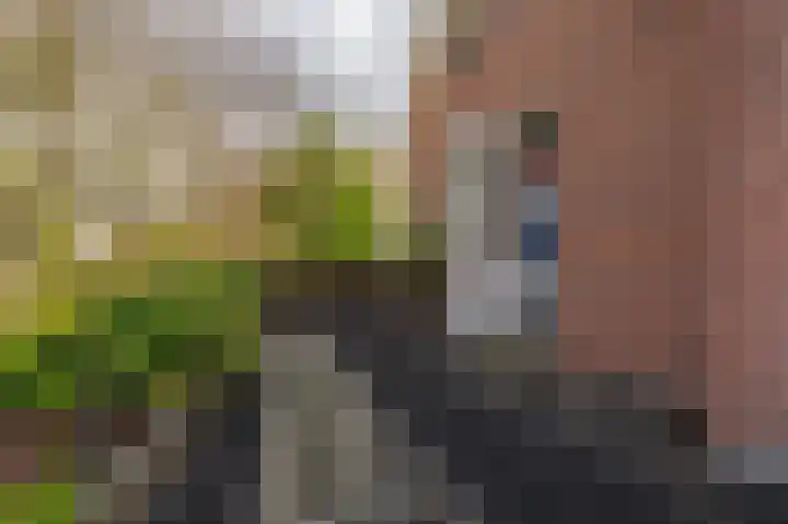 Gravenhof 20 Goes thumbnail 36