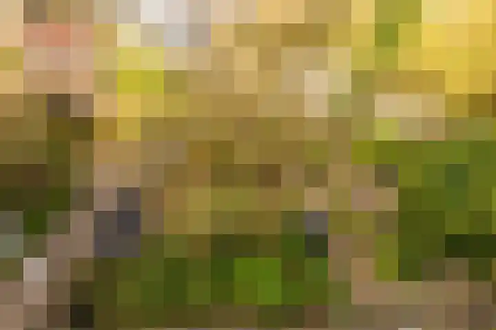 Gravenhof 20 Goes thumbnail 37