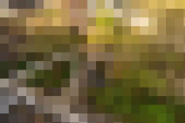 Gravenhof 20 Goes thumbnail 38