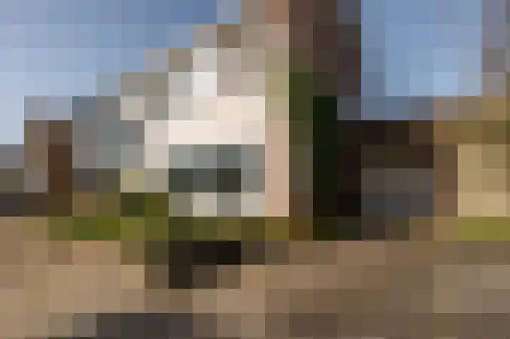 Gravenhof 20 Goes thumbnail 4
