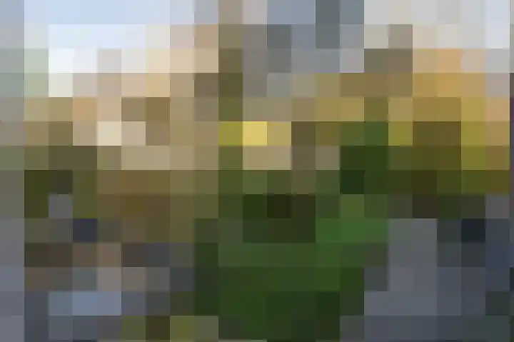 Gravenhof 20 Goes thumbnail 44