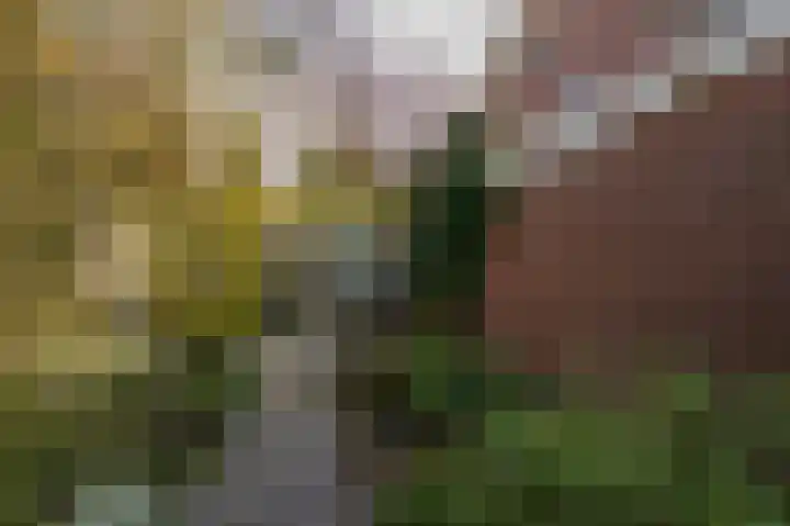 Gravenhof 20 Goes thumbnail 45