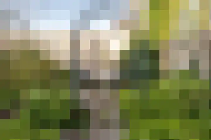 Gravenhof 20 Goes thumbnail 47