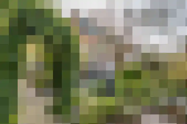 Gravenhof 20 Goes thumbnail 48