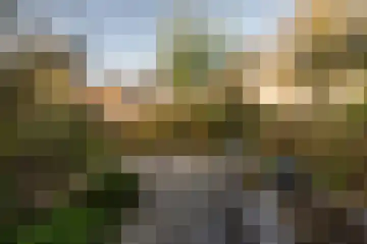 Gravenhof 20 Goes thumbnail 50