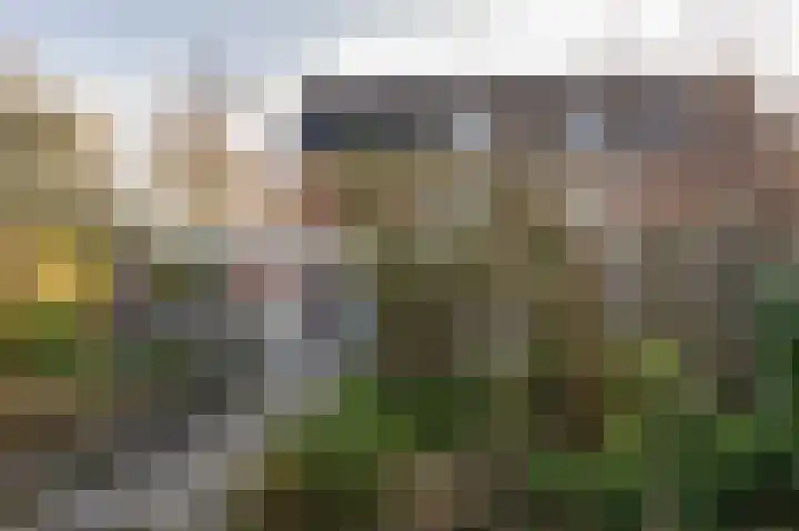 Gravenhof 20 Goes thumbnail 52