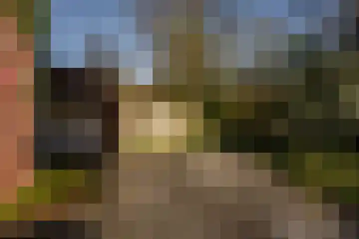 Gravenhof 20 Goes thumbnail 7