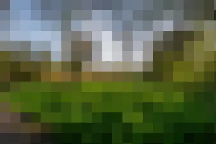 Gravenhof 20 Goes thumbnail 8