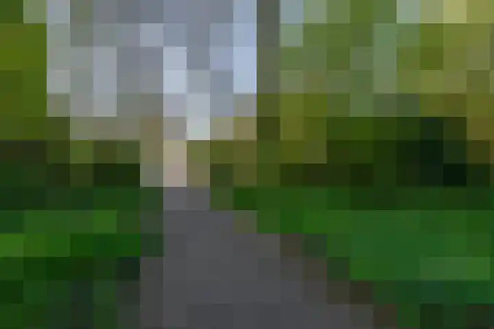 Gravenhof 20 Goes thumbnail 9