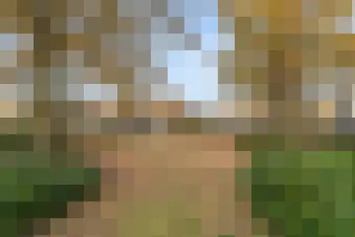 Gravenhof 22 Ede thumbnail 10
