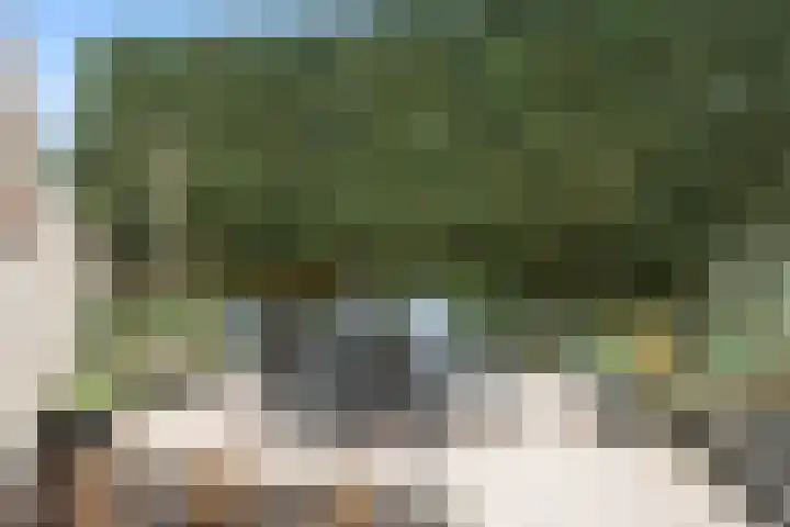 Gravenhof 22 Ede thumbnail 16