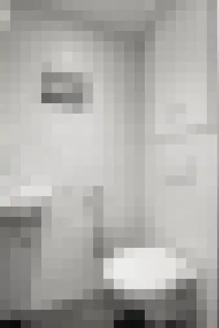 Gravenhof 22 Ede thumbnail 21