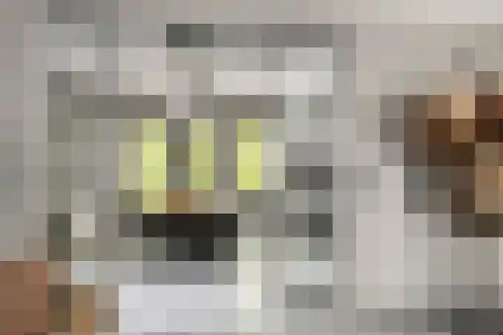Gravenhof 9 Riel thumbnail 10