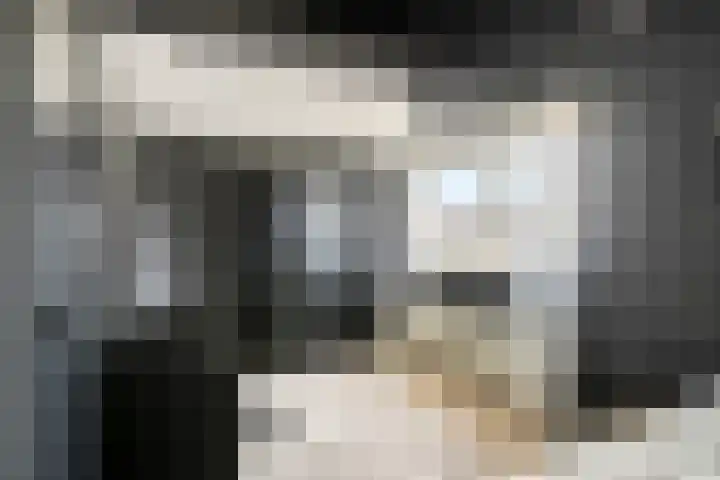 Gravenhof 9 Riel thumbnail 36