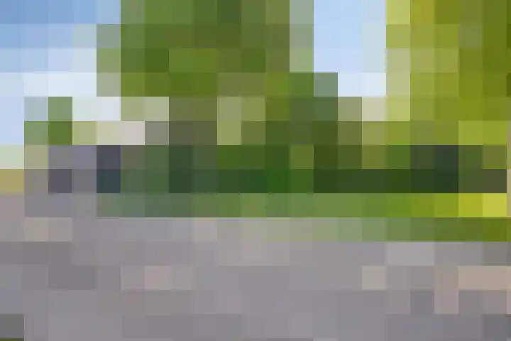 Gravenhof 9 Riel thumbnail 56