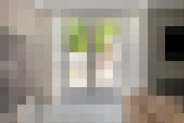 Gravenhof 9 Riel thumbnail 7