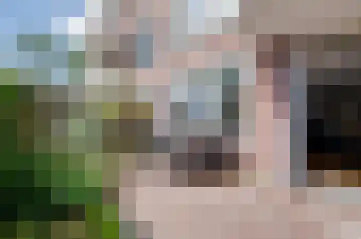 Gravenlanden 41 Assen thumbnail 17
