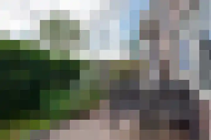 Gravenlanden 41 Assen thumbnail 18