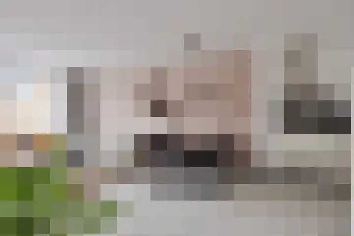 Gravenmade 10 Pijnacker thumbnail 13