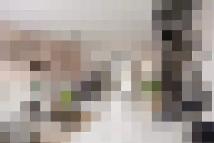 Gravenmade 10 Pijnacker thumbnail 14