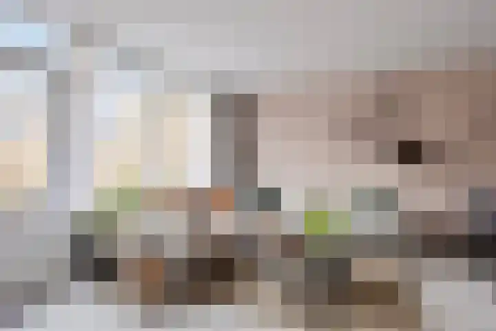 Gravenmade 10 Pijnacker thumbnail 15