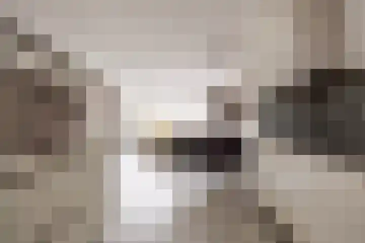 Gravenmade 10 Pijnacker thumbnail 16