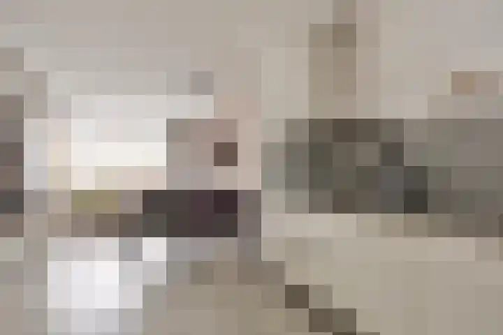 Gravenmade 10 Pijnacker thumbnail 17