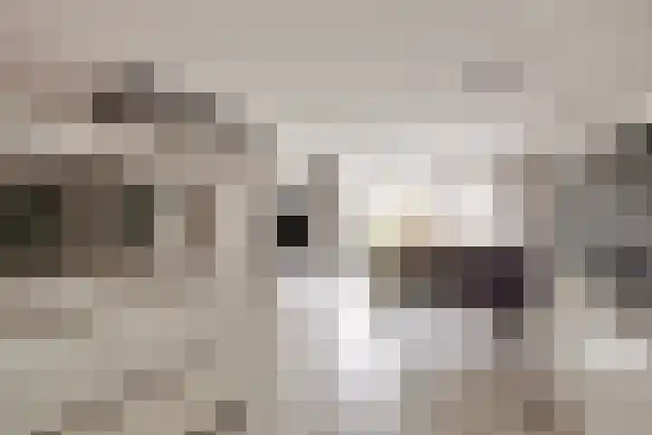 Gravenmade 10 Pijnacker thumbnail 18