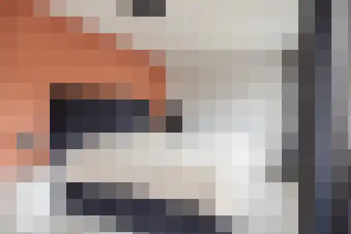 Gravenmade 10 Pijnacker thumbnail 22