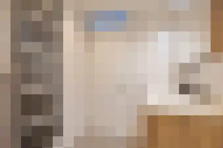 Gravenmade 10 Pijnacker thumbnail 25