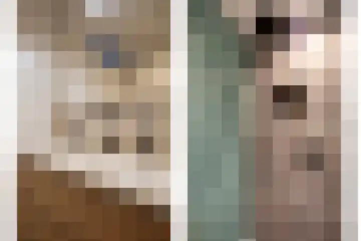 Gravenmade 10 Pijnacker thumbnail 27