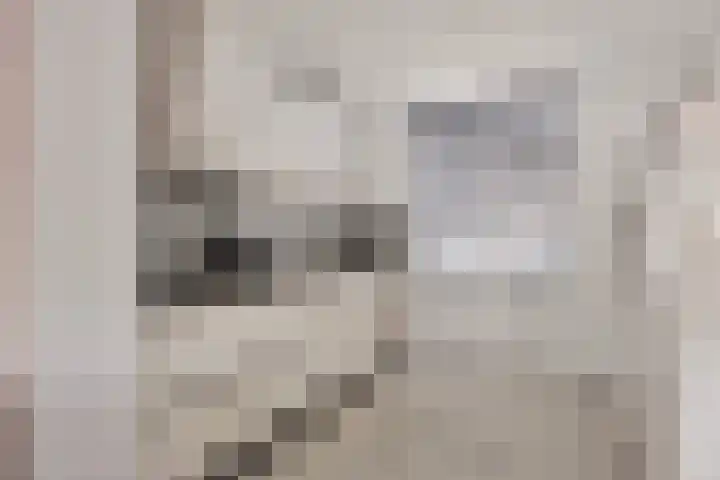 Gravenmade 10 Pijnacker foto 3