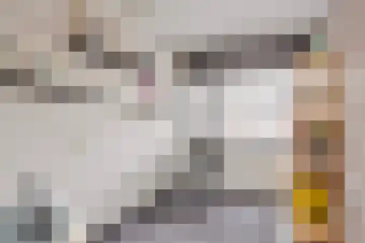 Gravenmade 10 Pijnacker thumbnail 30