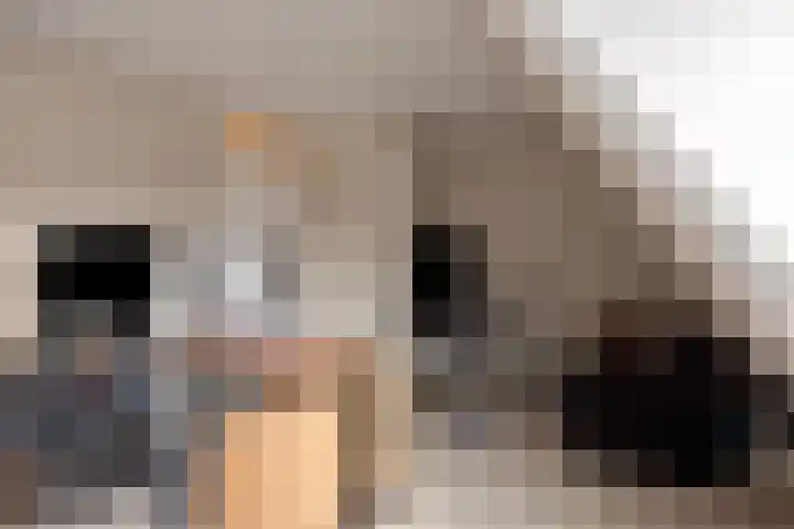 Gravenmade 10 Pijnacker thumbnail 35