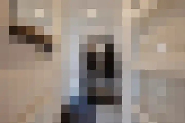 Gravenmade 10 Pijnacker thumbnail 9