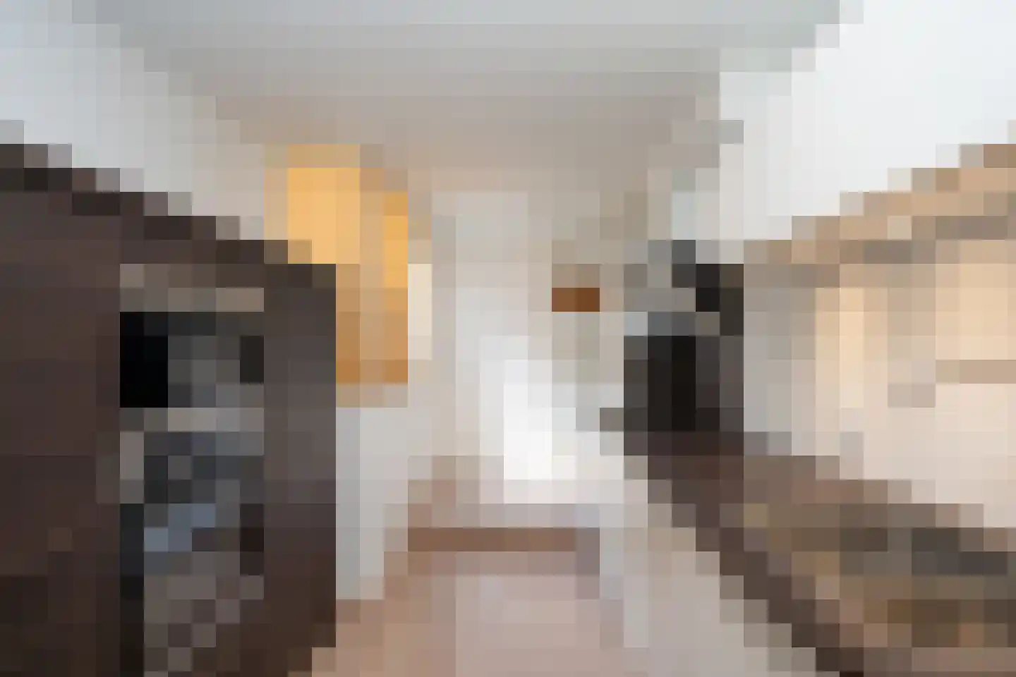 Gravenstraat 5 A Den Burg thumbnail 17