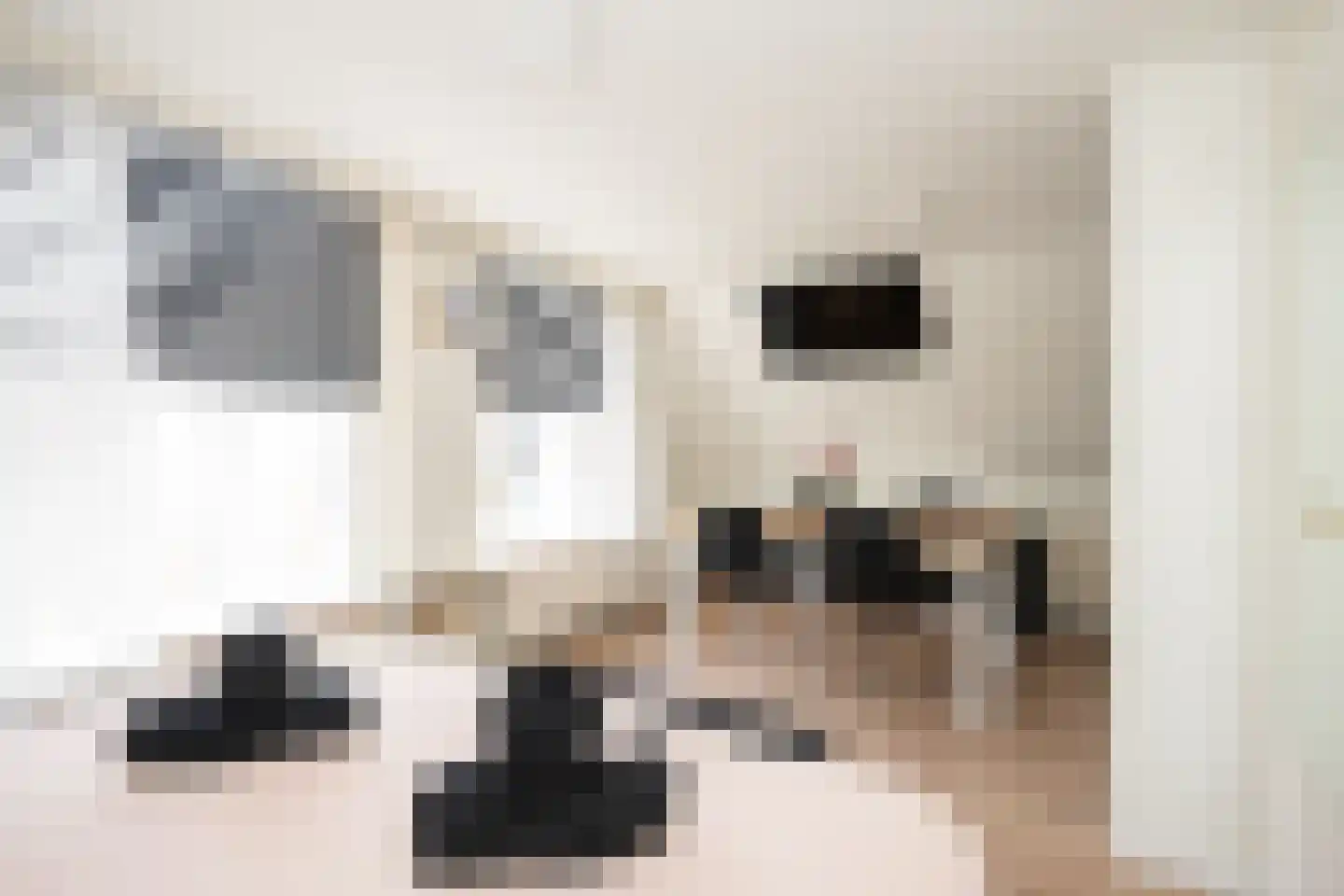 Gravenstraat 5 A Den Burg thumbnail 32