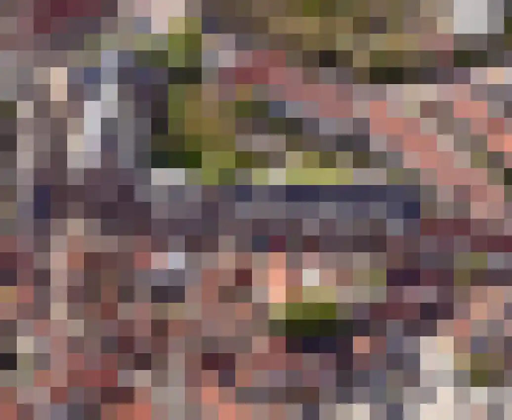 Gravenstraat 5 A Den Burg thumbnail 4
