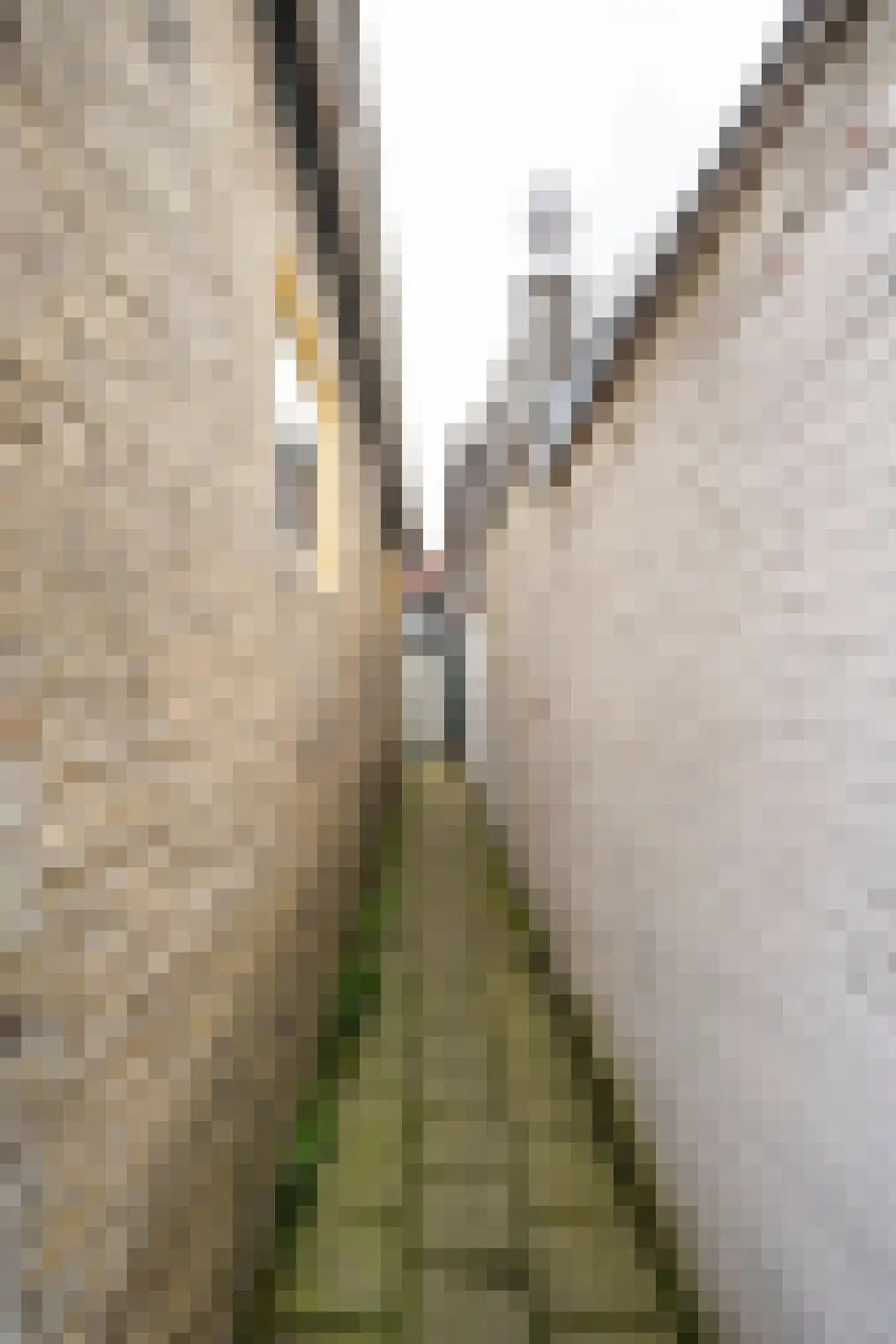 Gravenstraat 5 A Den Burg thumbnail 53