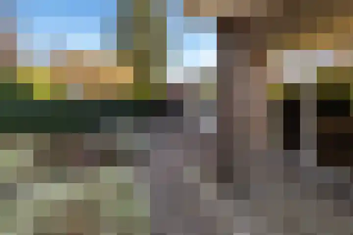 Gravenweg 30 Almen thumbnail 10