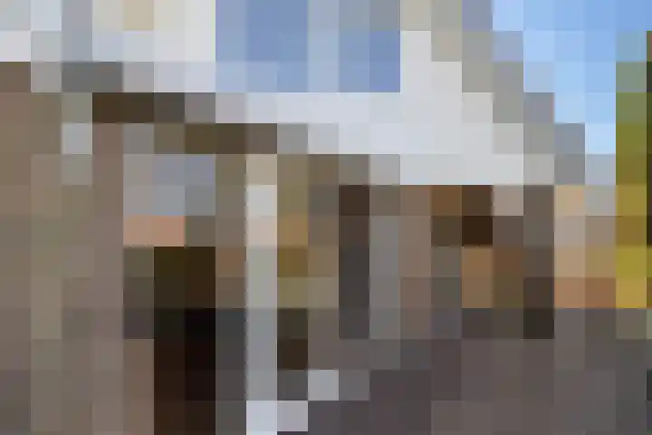 Gravenweg 30 Almen thumbnail 11