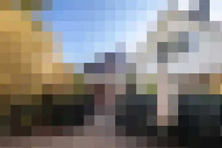 Gravenweg 30 Almen thumbnail 12