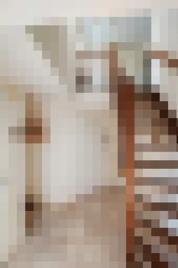 Gravenweg 30 Almen thumbnail 13